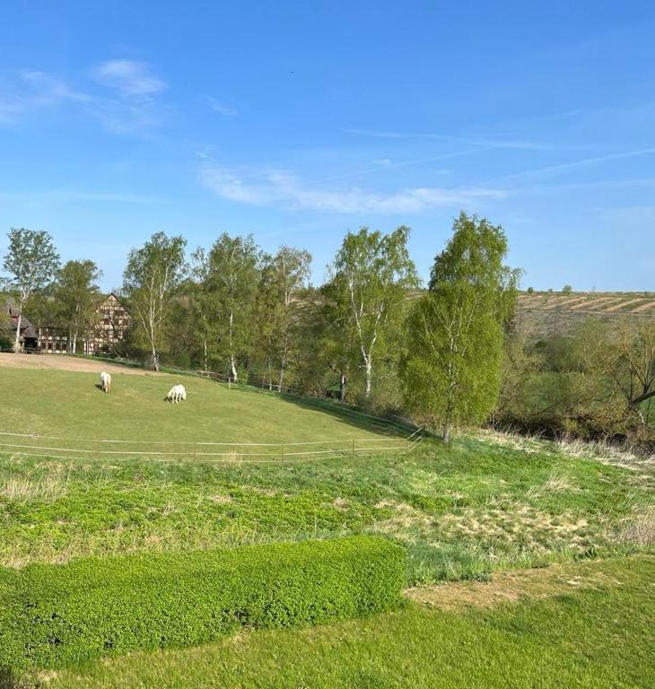 Js Feriendomizile Haus Sonnenschein Bettwaesche Handtuecher Inkl Hasselfelde Luaran gambar